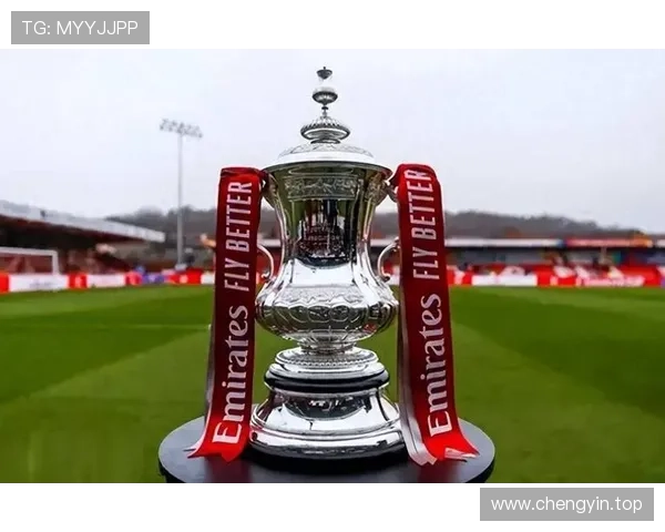 曼城逆转晋级足总杯八强